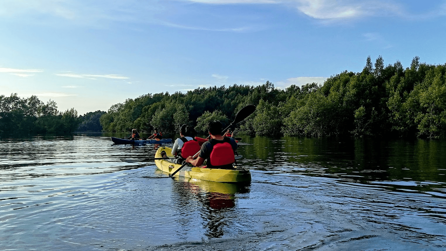 Kayakers paddling through a calm mangrove river at golden hour